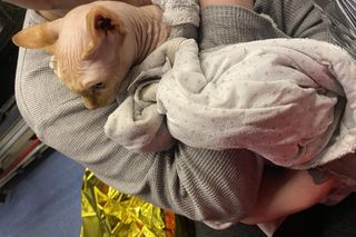 Warszawa. Pożar mieszkania na Majdańskiej. Pięć osób poszkodowanych