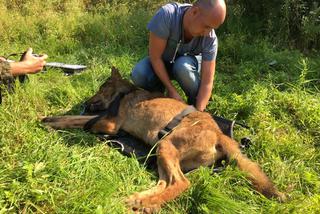 Pieścił wilka na pożegnanie