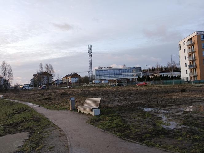 Wycinka drzew pod kolejne bloki. Mieszkańcy pozostaną bez miejsca do wypoczynku?