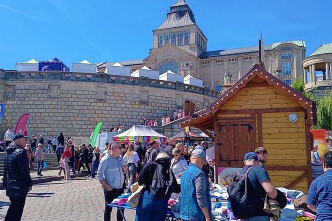 Piknik nad Odrą