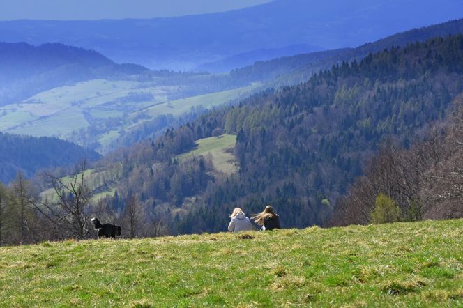 Krynica Zdrój 