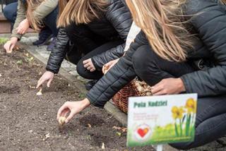 Fundacja Pomóż Im. Po raz dziesiąty zaczęli siać Pola Nadziei [ZDJĘCIA]