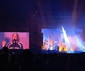 Opener 1 dzień