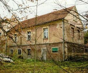 Chcą uratować zabytkowy pałac w powiecie ostródzkim. Potrzebna jest gigantyczna suma pieniędzy [ZDJĘCIA]