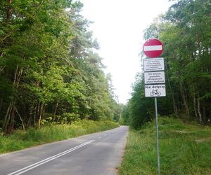 Nowe miejsce rekreacji dla olsztynian. Na tę ulicę nie wjedziesz już autem