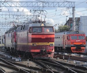 Maszynista się zatrzymał. Po chwili wezwał służby ratownicze. Makabryczne odkrycie między torami