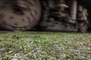 Tramwajarze zazielenili torowiska w centrum 