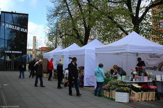 Targi Miasto-Ogród w Szczecinie