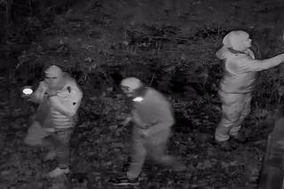 Włamanie do pałacu w Mordach