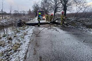 Uszkodzony radiowóz, zalania, połamane drzewa. Wichury w pow. iławskim