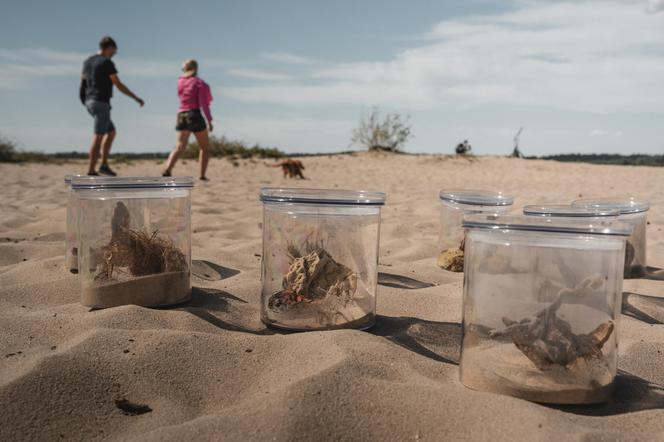 Wystawa plenerowa podczas 2. edycji festiwalu Law of The Desert