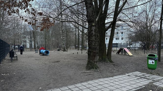 Psi park na ul. Augustów w Łodzi