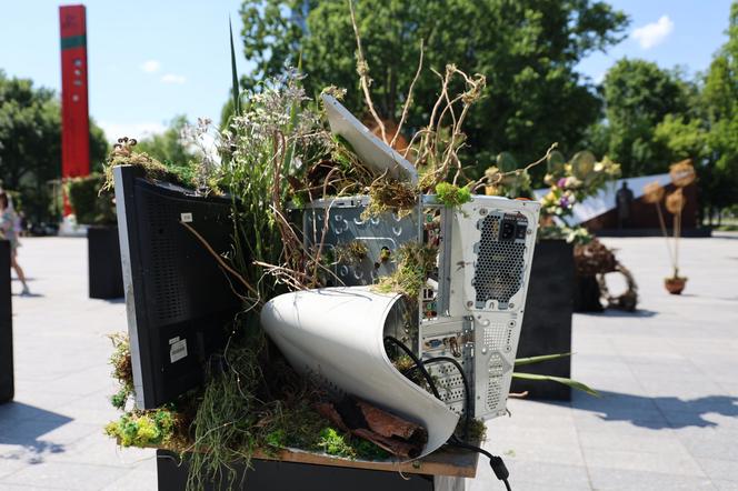 Weekend z florystyką w Lublinie. Zobacz imponujące roślinne instalacje w centrum miasta!