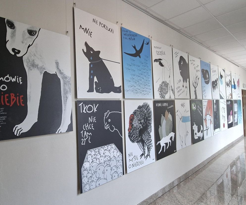 Ekspozycja „Mówię do Ciebie” – plakaty Danuty Żukowskiej w Bibliotece Pedagogicznej w Siedlcach