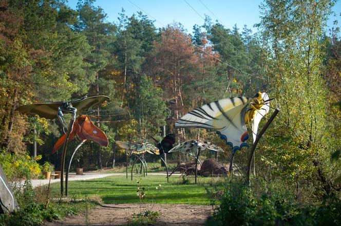 Park Dolina Wkry w Pomiechówku - spacer w koronach drzew, place zabaw, plaża