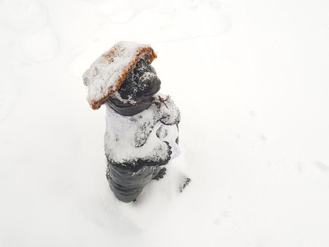 Figurki WidziMisie w zimowej odsłonie. Zobacz białostocką atrakcję [GALERIA]