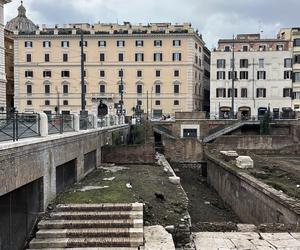 Largo Argentina w Rzymie. Koty zamieszkały w starożytnych ruinach - zobacz zdjęcia