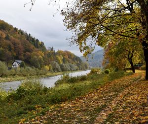 Małopolska wieś, która zachwyciła filmowców. Jesienią można poczuć się jak na planie