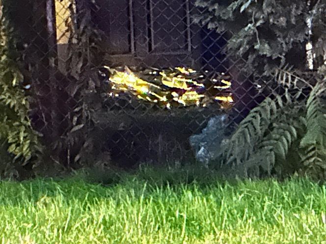 Pobili 44-latka i podpalili tapczan w domu. Szokujące okoliczności śmierci bezdomnego