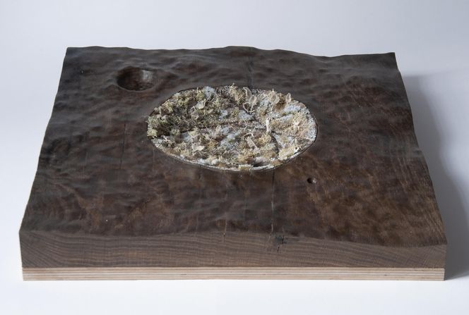 Slow Down: A Group Exhibition at theCopenhagen Architecture Biennial 2025 - CENTRALA