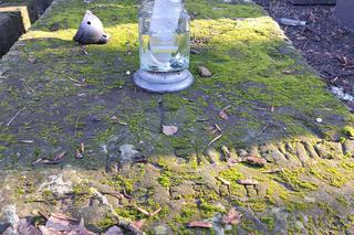 Zaniedbane groby znanych Polaków na Starych Powązkach 