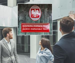 Pilne kontrole umów śmieciowych