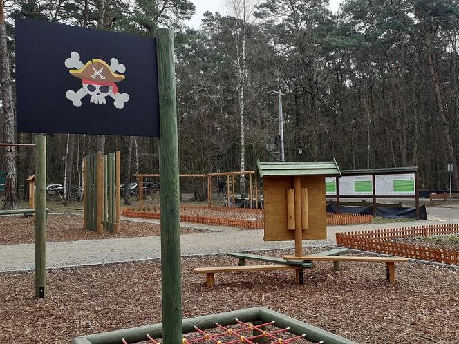 Drzewka i rekreacja na Barbarce