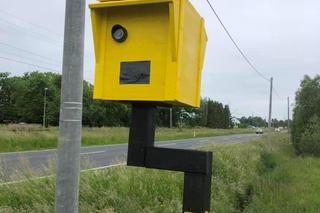 W Ustroniu Morskim powstał nietypowy fotoradar