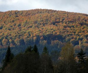 Podkarpacie to idealny kierunek na wiosenny weekend. Oto najpiękniejsze zakątki tego regionu