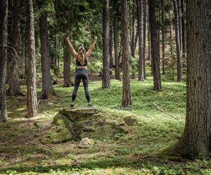 Nowy standard relaksu w objęciach natury. Sanktuarium odnowy w koronach drzew