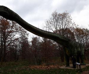 Dinozaury w Polsce. Najlepsze parki dinozaurów w Polsce. Gdzie żyły polskie dinozaury?