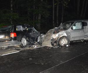 Tragiczny wypadek w Pobołowicach-Kolonii. 40-latka i 17-latek zginęli na miejscu! [ZDJĘCIA]