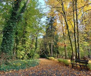 Chodźcie z nami na spacer po Ogrodzie Botanicznym UKW w Bydgoszczy. To ostatnia szansa!