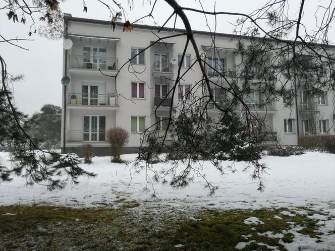 Trzebinia. W ciągu ostatniego półtora roku powstało tu około 25 zapadlisk. To oficjalne dane, bo mieszkańcy mówią nawet o dwukrotnej liczbie