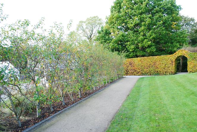 Warzywnik Katarzyna Bellingham