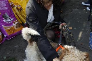 Tak zmieniała się Kasia Nova na przestrzeni 16 lat