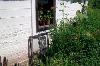 Muzeum Wsi Mazowieckiej - skansen w Sierpcu