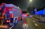 Śmiertelny wypadek na Szosie Bydgoskiej w Toruniu. Pieszy zginął na pasach