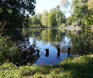 tłumy spokojnie spacerujących spacerowiczów w Pszczynie ZDJĘCIA