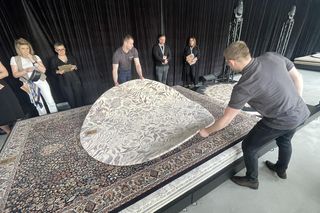 Dywany Agnella Brintons. Kolekcja 2025