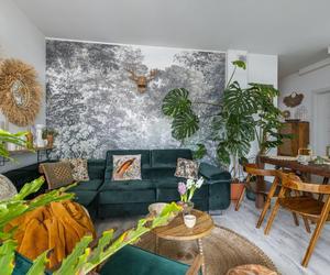 Styl biophilic – salon z roślinami