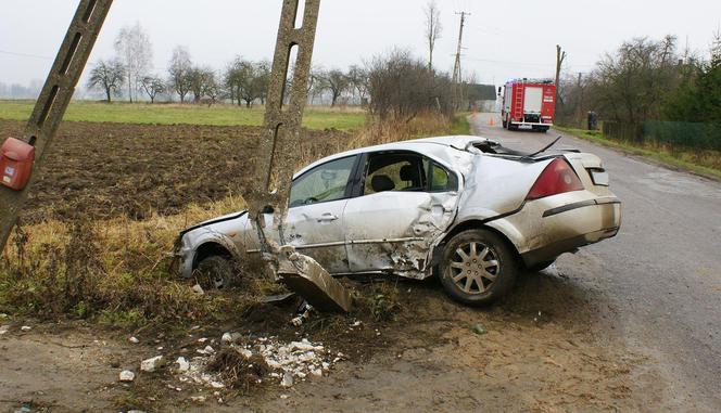 Pijany kierowca ściął słup elektryczny - prąd zabił 27 krów! [ZDJĘCIA]