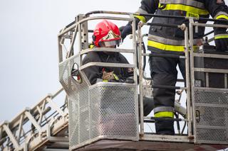 Kot fajtłapa wezwał strażaków.