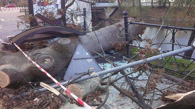 Drzewo padło między innymi przy Wzgórzu Partyzantów we Wrocławiu