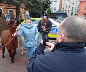 33. Finał WOŚP w Ostrzeszowie [FOTKI]