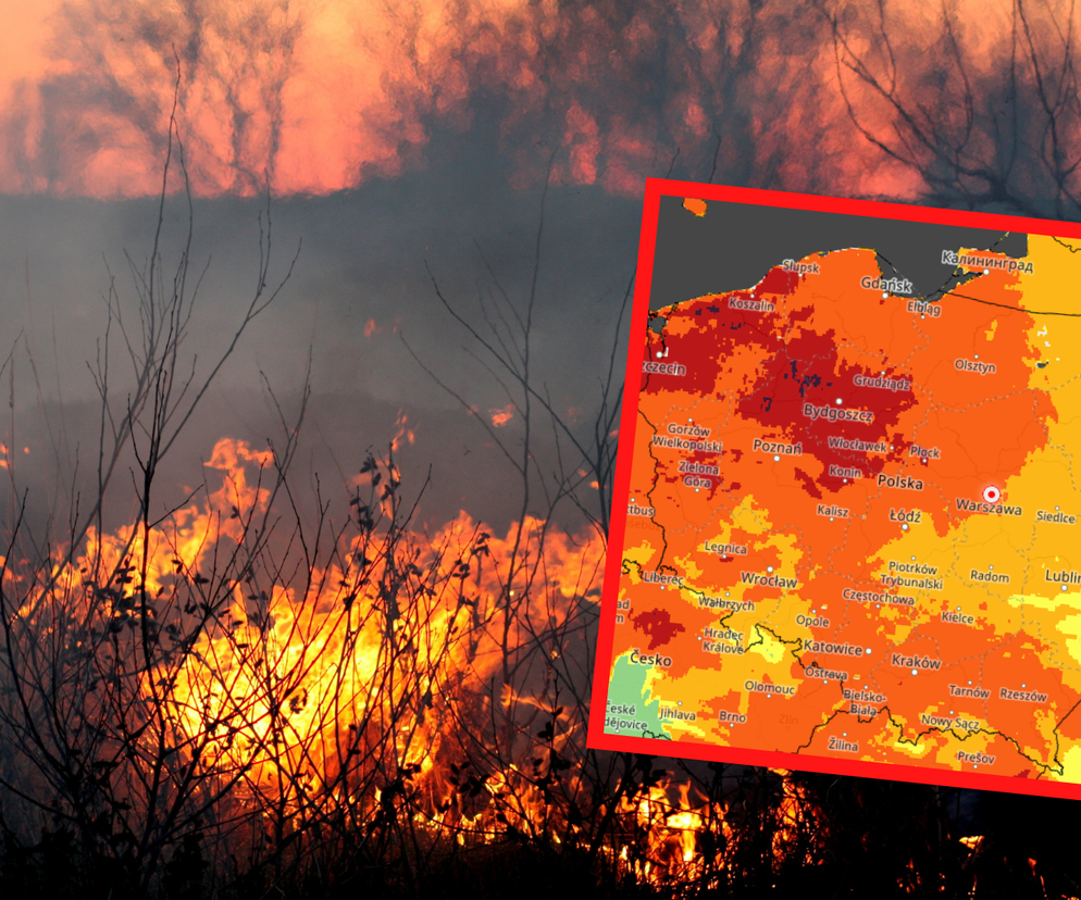 IMGW: zagrożenie pożarowe w Polsce. Miejscami EKSTREMALNIE wysokie! 