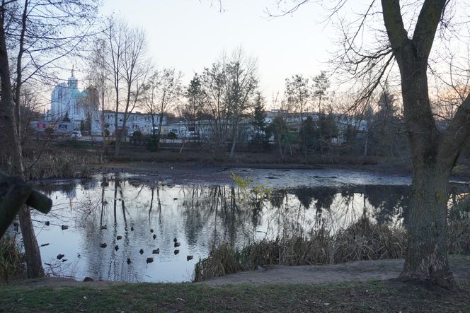 Tu powstanie kolejne miejske do rekreacji w Białymstoku. Tak obecnie wygląda staw przy Bema