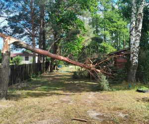 Burze nad województwem łódzkim. Strażacy interweniowali blisko 240 razy