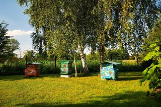 To najpiękniejsza nazwa wsi w Polsce. Wybór AI nie dziwi