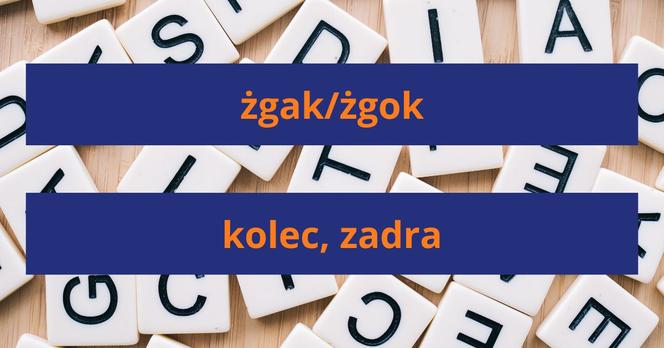 Słownik gwary poznańskiej - znasz najważniejsze słowa?